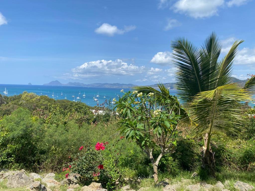 Superbe Appartement Vue Sur Mer 圣安娜 外观 照片